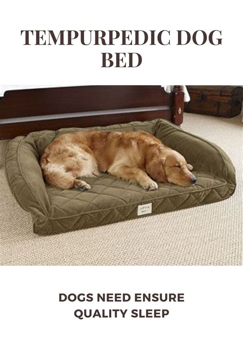 9 Best Tempurpedic Dog Beds 2023 Review - How To Pick ...